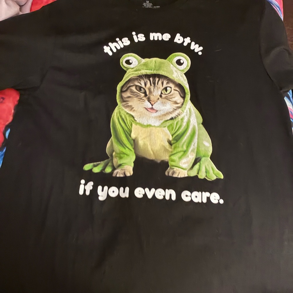 Hot Topic Black Tee with Cat in Green Frog Outfit